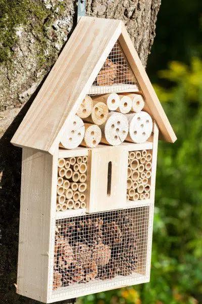 environment : picture of an insect hotel 