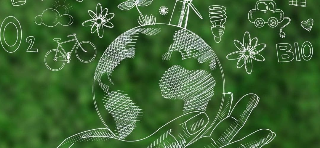 Environnement et écologie :  chaines et vidéos Youtube pour initier les enfants !