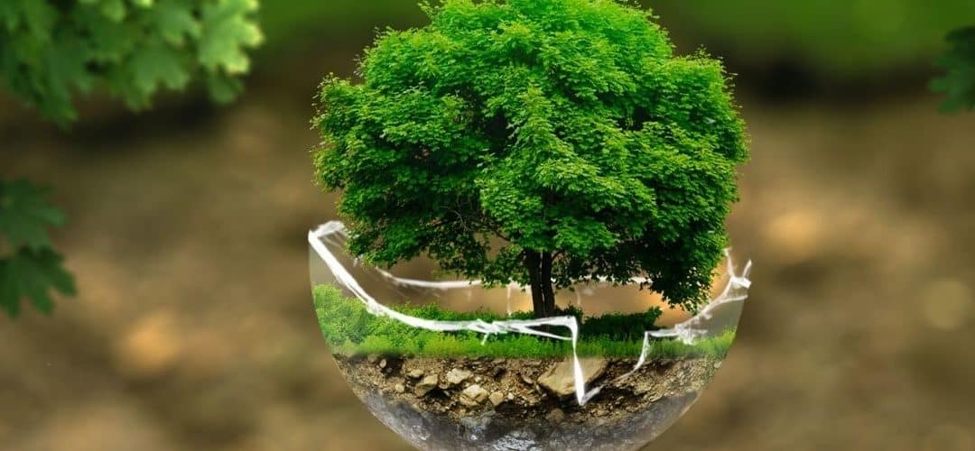 Protection de l’environnement : mieux comprendre pour mieux agir !