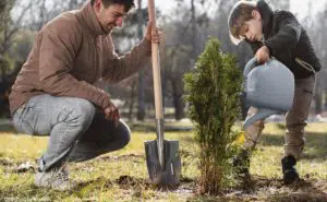 l'écologie expliquée aux enfants : un père en train de planter un arbre avec son fils.