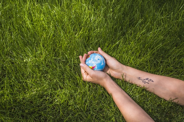 environmental protection: a person holding a mini globe in his hands