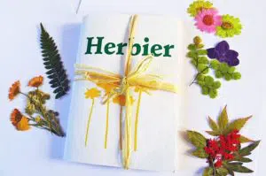 Un herbier