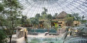 parc animalier : zoo beauval