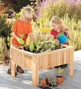 Ecological activities: children's vegetable garden