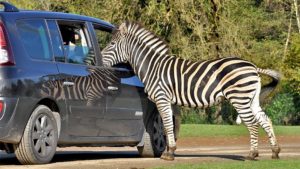 parc animalier : planète sauvage