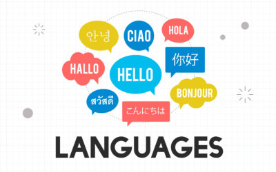Bilingual school outing: 4 activities to introduce the child to a new language