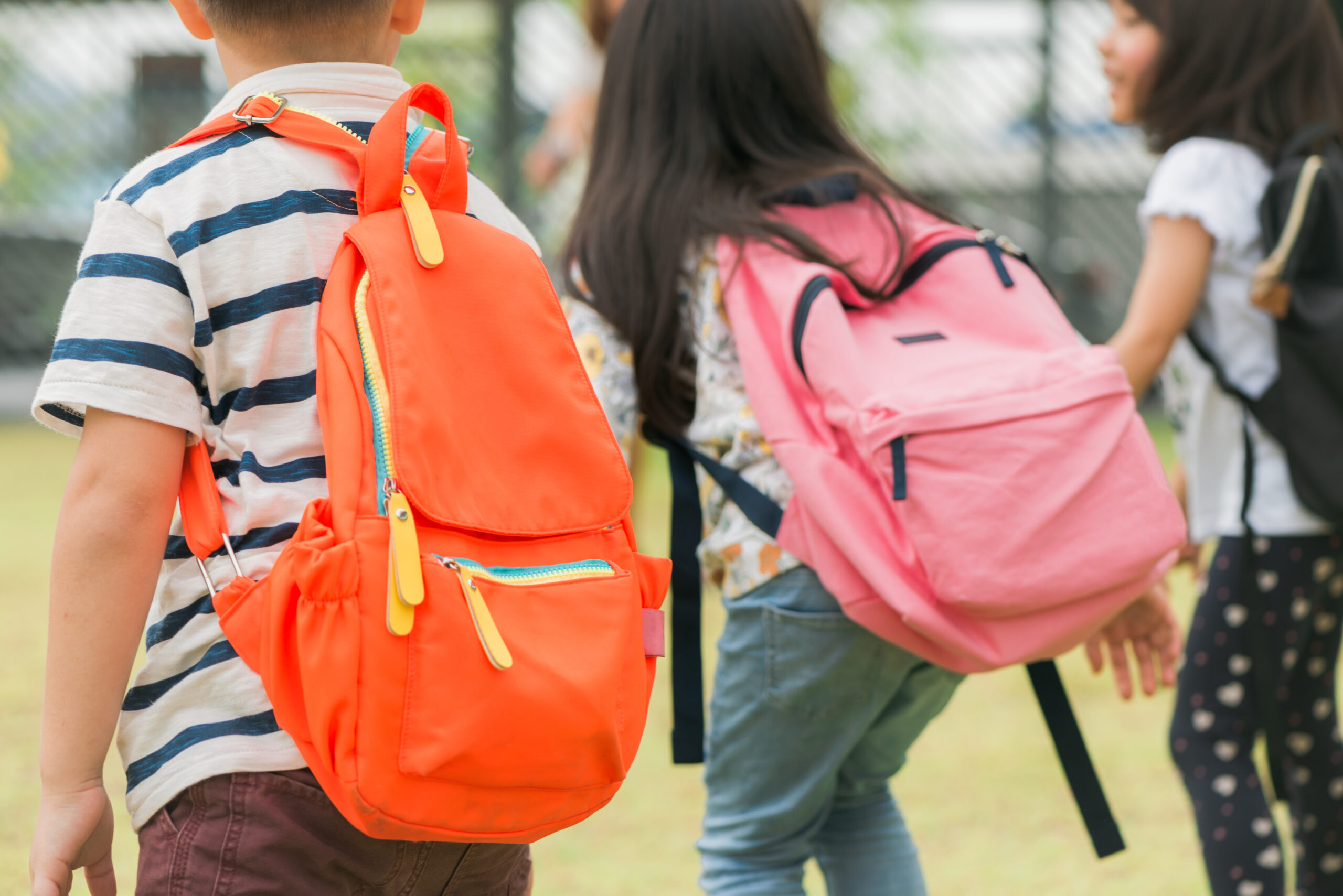 Gold Coast School Grading: The Secrets Parents Don'T Know - gdx34ya