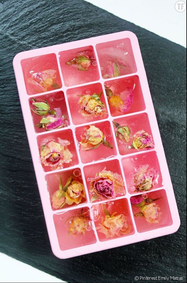 Ice cubes with roses