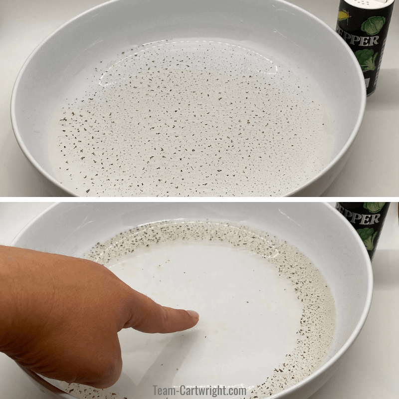 L'experience du poivre avec du liquide vaisselle