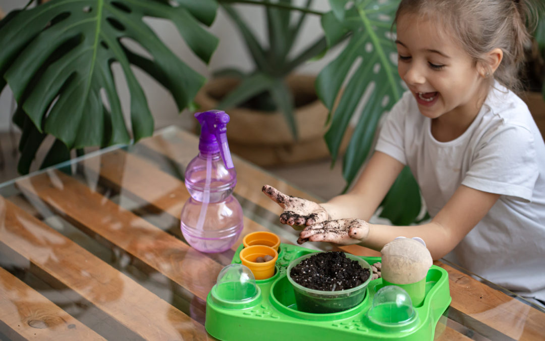 Sensory activities: 6 activities on the theme of nature