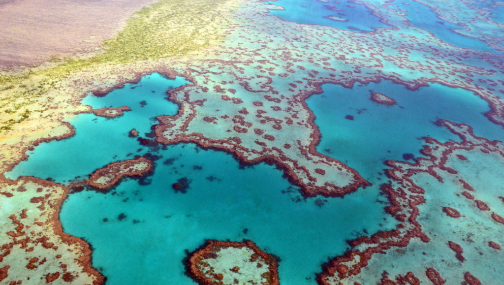 vacances d'été 2022 : barrière de corail 