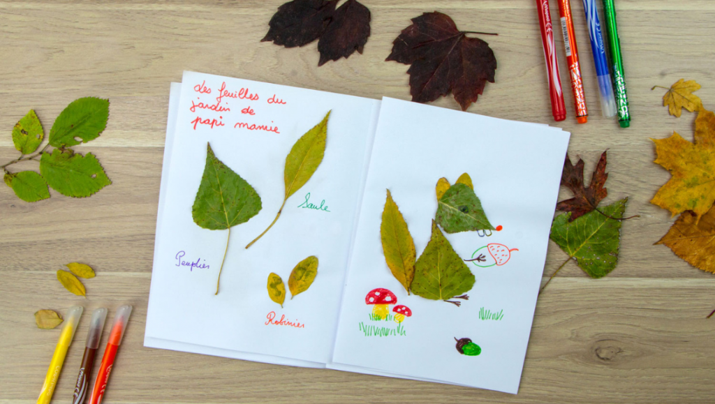 Activités maternelle biodiversité